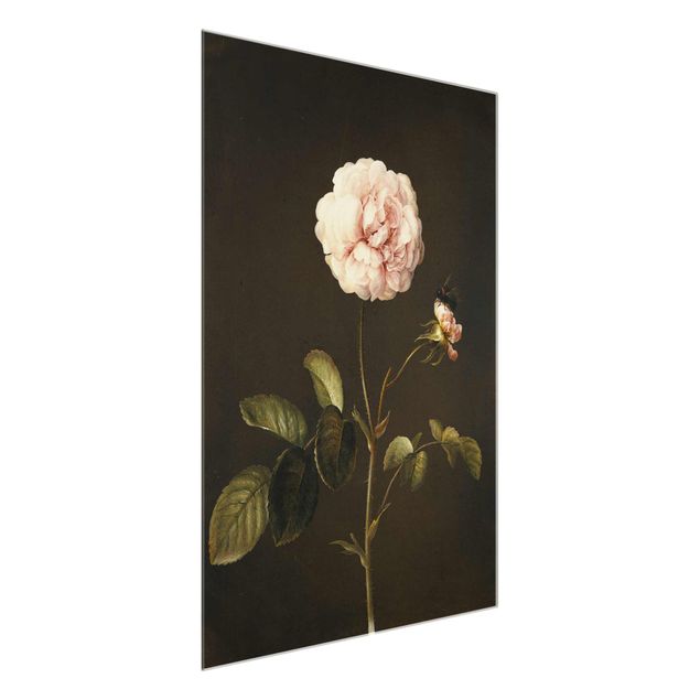 Glasbild Blumen Barbara Regina Dietzsch - Essig-Rose mit Hummel