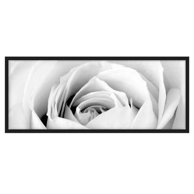 Bilder mit Rahmen Close Up Rose