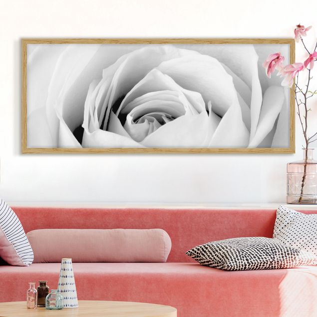 Blumen Bilder mit Rahmen Close Up Rose