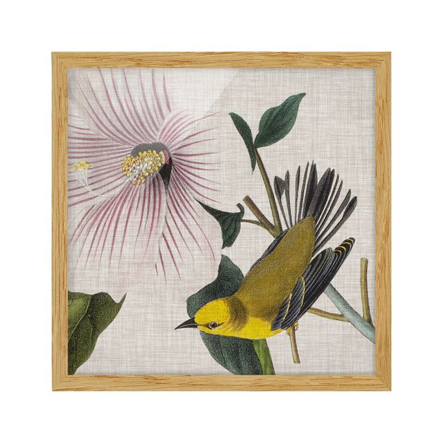 Kunstdrucke mit Rahmen Vogel auf Leinen Gelb I