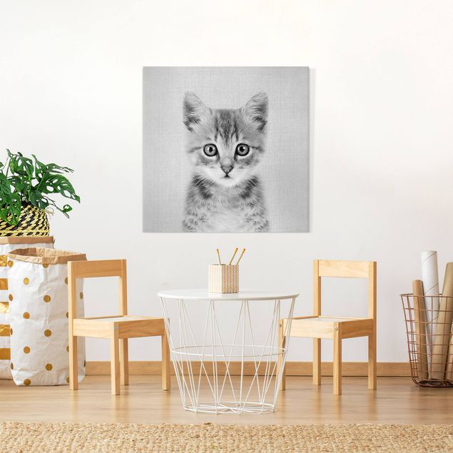 Wandbilder Tiere Baby Katze Killi Schwarz Weiß
