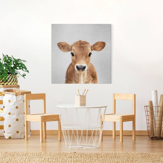 Wandbilder Schwarz-Weiß Baby Kuh Kira