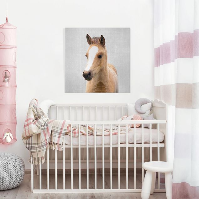 Wandbilder Tiere Baby Pferd Philipp