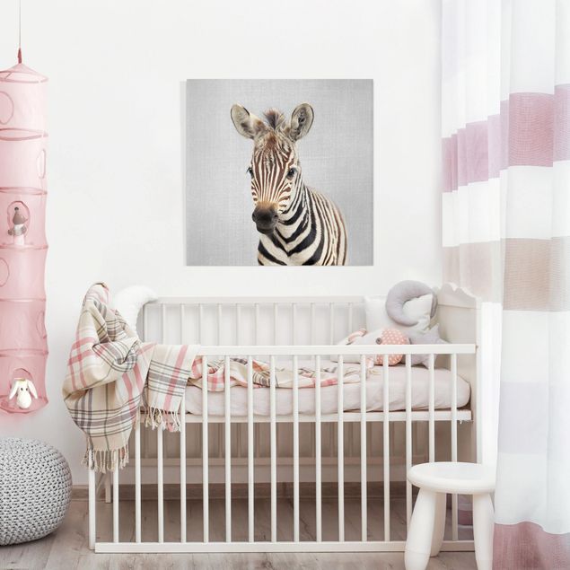 Zebra Leinwandbilder Baby Zebra Zoey