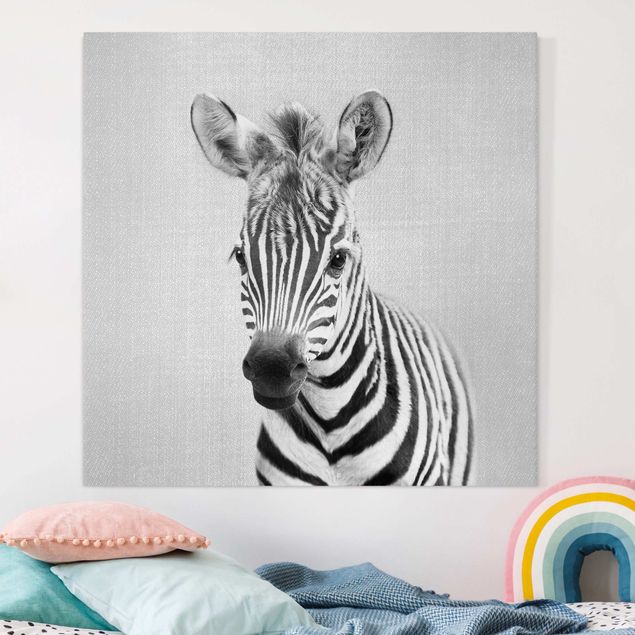 Wandbilder XXL Baby Zebra Zoey Schwarz Weiß