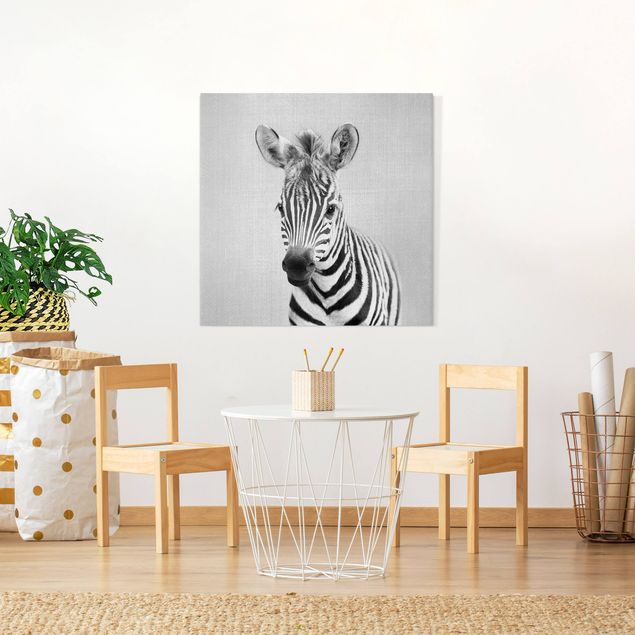 Wandbilder Tiere Baby Zebra Zoey Schwarz Weiß