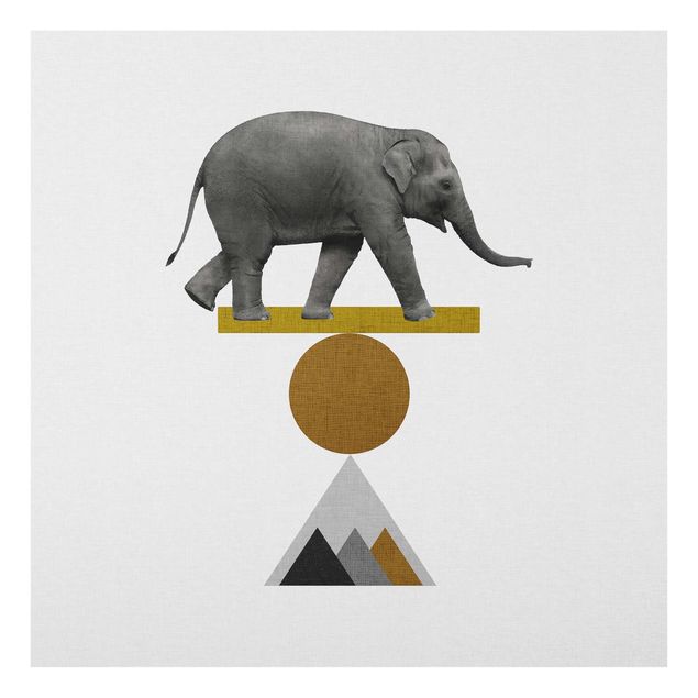 Glasbild - Balancekunst Elefant - Quadrat