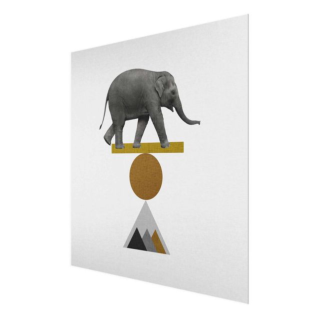 Glasbild - Balancekunst Elefant - Quadrat