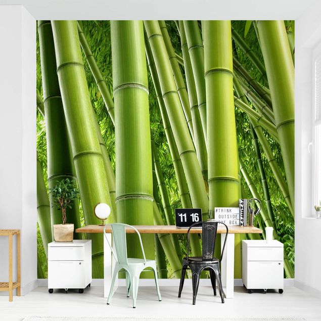 Moderne Tapeten Bamboo Trees