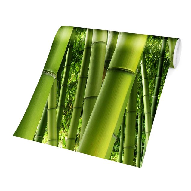 Grüne Tapete Bamboo Trees