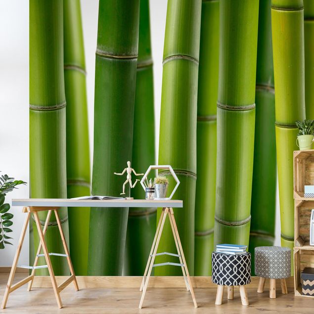 Fototapete Wald Bambuspflanzen