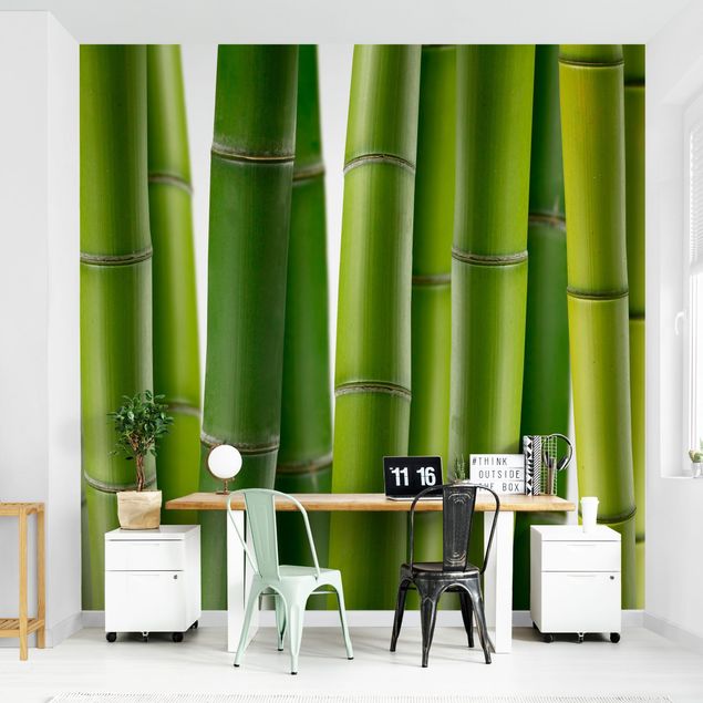 Fototapete Natur Bambuspflanzen