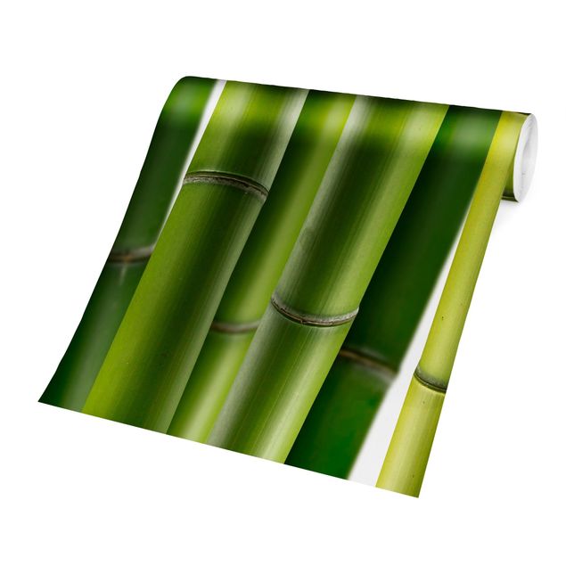 Design Tapete Bambuspflanzen
