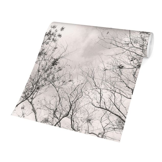 Fototapete grau Baumkronen im Himmel in Warmgrau