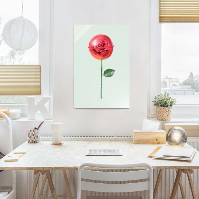 Glasbilder Pflanzen Rose mit Lollipop