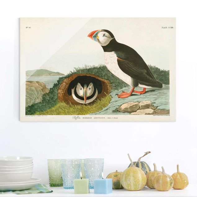 Wandbilder Tiere Vintage Lehrtafel Papageientaucher
