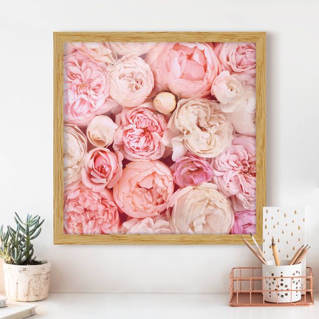 Gerahmte Bilder Blumen Rosen Rosé Koralle Shabby
