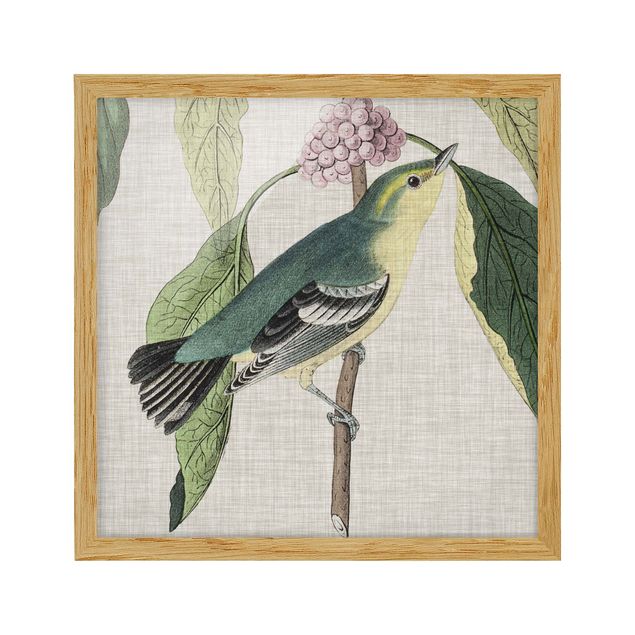 Kunstdruck Bilder mit Rahmen Vogel auf Leinen Rosa I