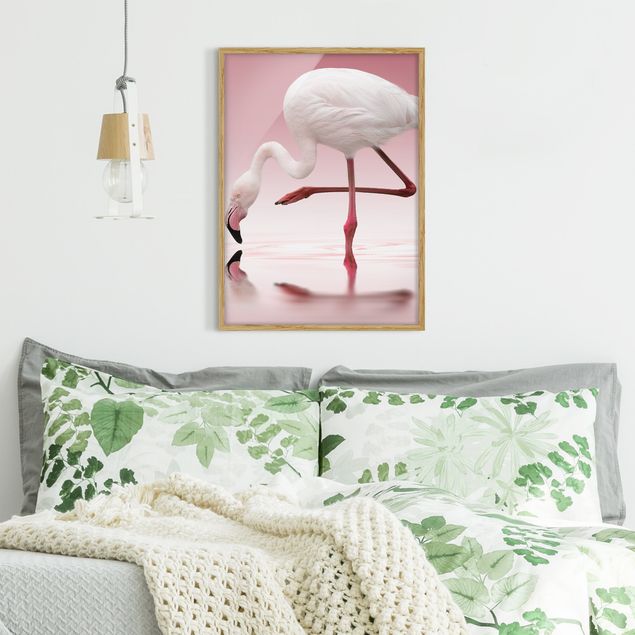Bilder mit Rahmen Flamingo Dance