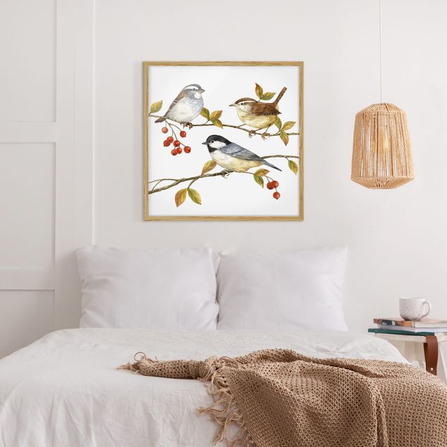 Kunstdruck Bilder mit Rahmen Vögel und Beeren - Meisen