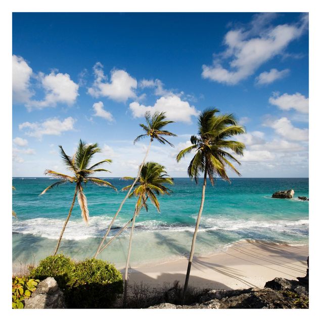Fototapete Design Beach of Barbados