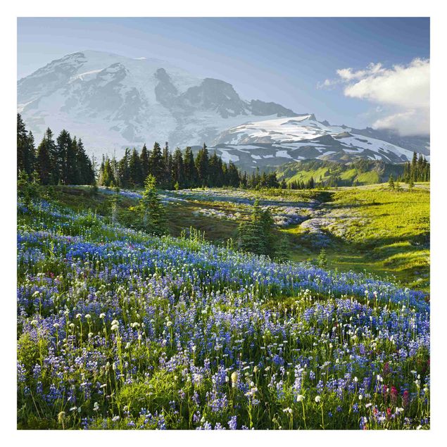 Fototapete grün Bergwiese mit blauen Blumen vor Mt. Rainier