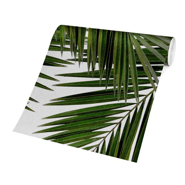 Design Tapete Blick durch grüne Palmenblätter