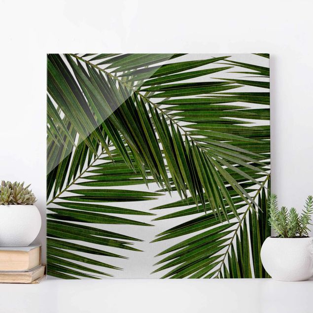 Glasbilder XXL Blick durch grüne Palmenblätter