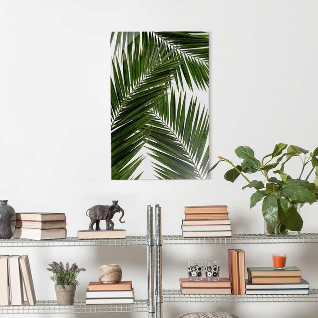 Glasbilder Pflanzen Blick durch grüne Palmenblätter