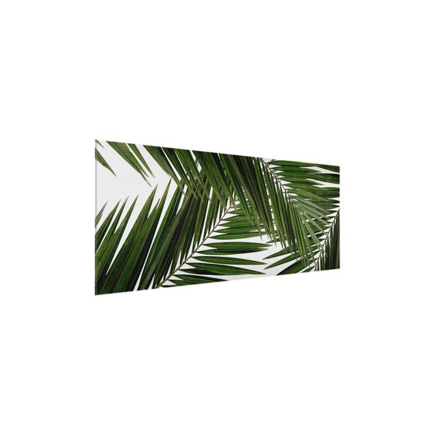 Bilder für die Wand Blick durch grüne Palmenblätter