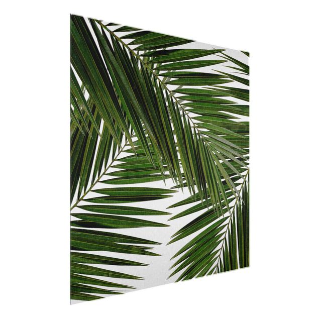 Wandbilder Blick durch grüne Palmenblätter