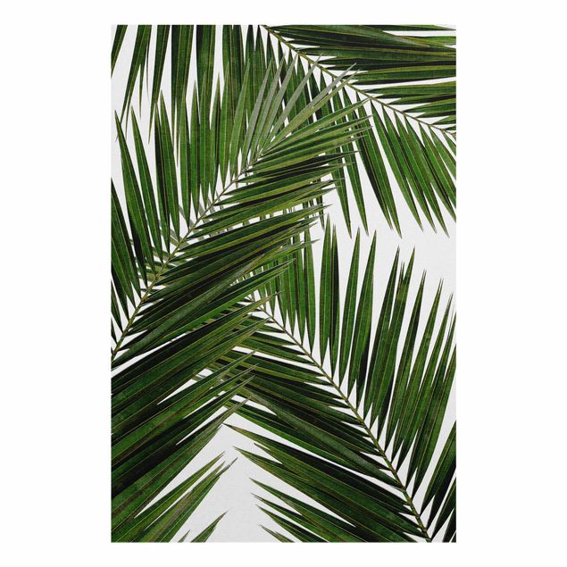 Glas Wandbilder Blick durch grüne Palmenblätter