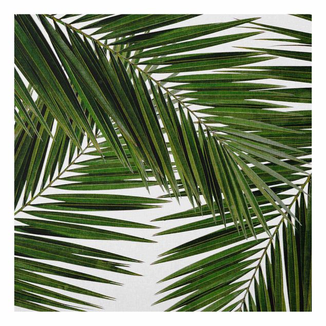 Glasbilder Blick durch grüne Palmenblätter