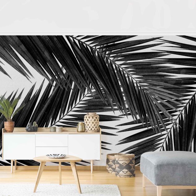 Wandtapete schwarz Blick durch Palmenblätter Schwarz-Weiß