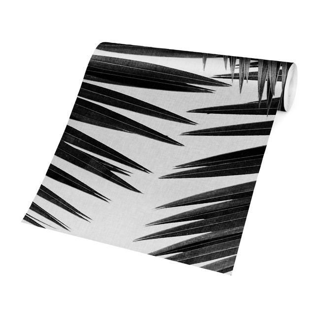 Weiße Tapeten Blick durch Palmenblätter Schwarz-Weiß