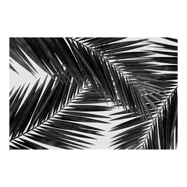 Fototapete Design Blick durch Palmenblätter Schwarz-Weiß