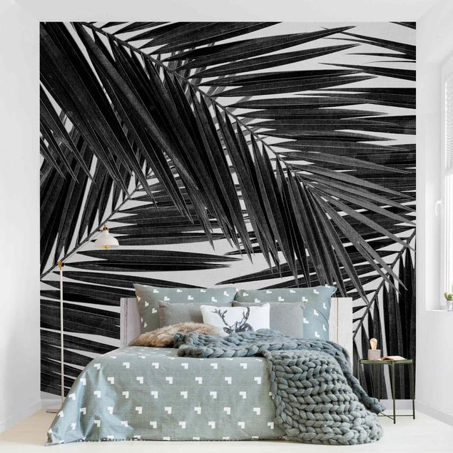 Schwarze Tapeten Blick durch Palmenblätter schwarz weiß
