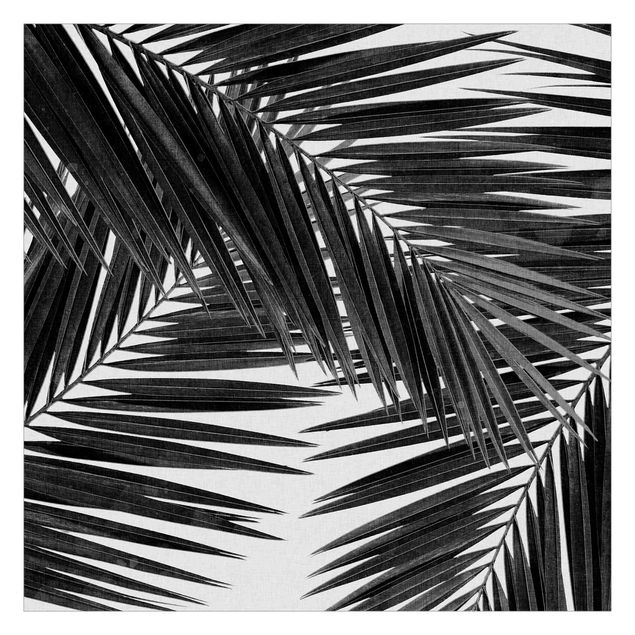 Wandtapete Design Blick durch Palmenblätter schwarz weiß