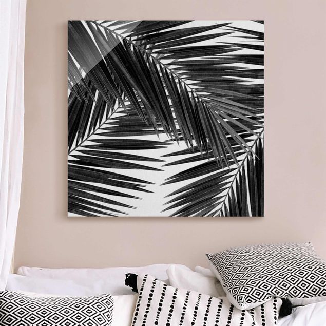 Wandbilder Glas XXL Blick durch Palmenblätter schwarz weiß