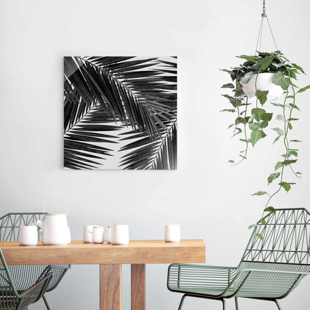 Glasbilder Pflanzen Blick durch Palmenblätter schwarz weiß