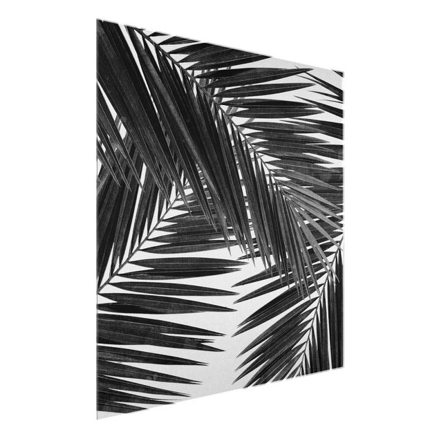 Bilder für die Wand Blick durch Palmenblätter schwarz weiß