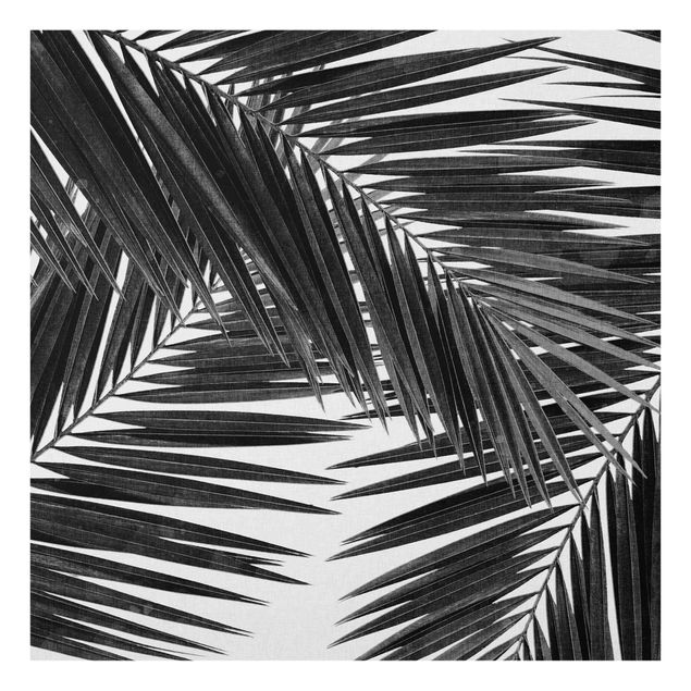 Glas Wandbilder Blick durch Palmenblätter schwarz weiß