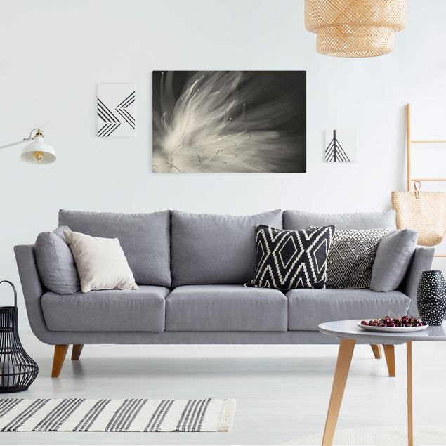Wandbilder Wohnzimmer modern Blütenstaub Schwarz-Weiß