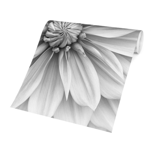 Fototapete Design Botanische Blüte in Weiß