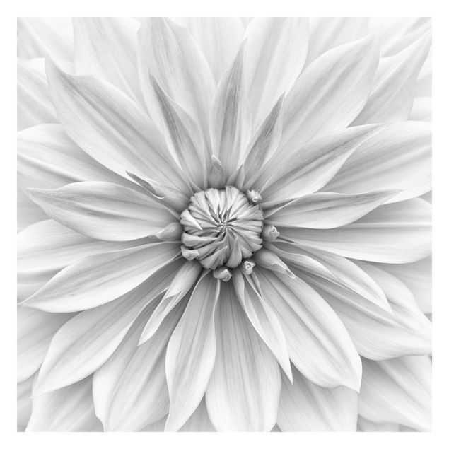 Fototapeten Botanische Blüte in Weiß