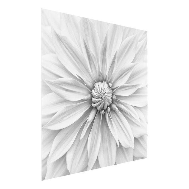 Schöne Wandbilder Botanische Blüte in Weiß