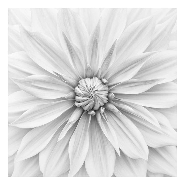 Bilder auf Glas Botanische Blüte in Weiß