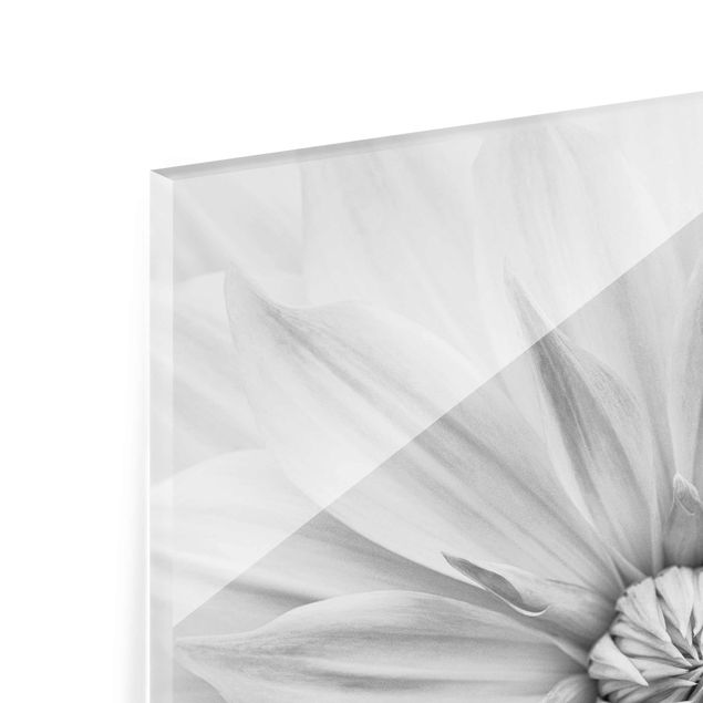 Glasbild - Botanische Blüte in Weiß - Quadrat