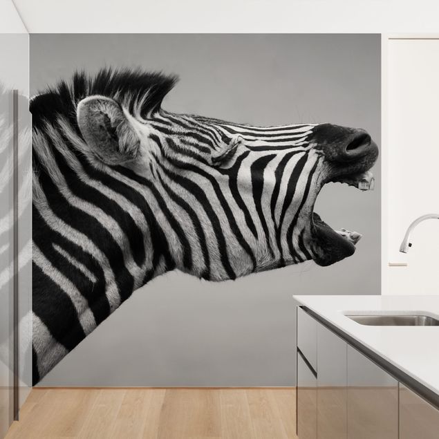 Wandtapete Tiere Brüllendes Zebra II