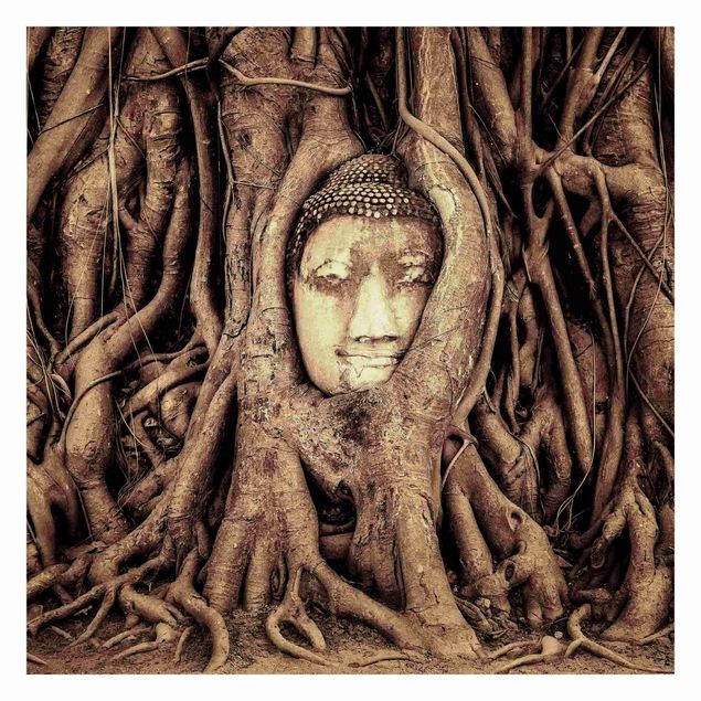 Fototapeten Buddha in Ayutthaya von Baumwurzeln gesäumt in Braun